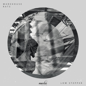 Low Stepper (Original Mix)