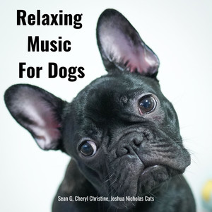 Relaxing Music For Dogs