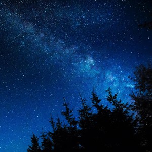 The Person from the Dream