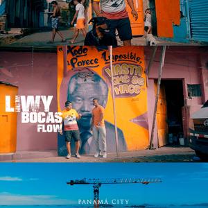 Liwy (La ilegal)