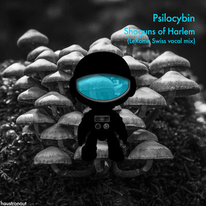 Psilocybin (LeRome Swiss vocal mix)
