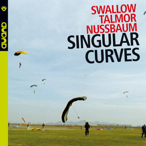 Singular Curves