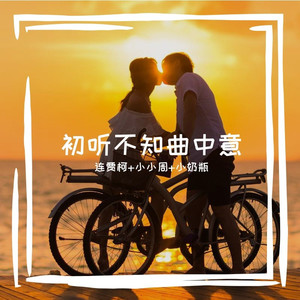 初听不知曲中意