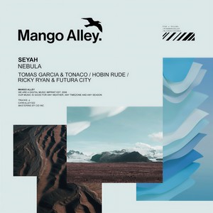 Nebula (Ricky Ryan & Futura City Rework)