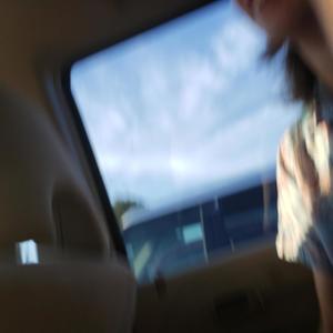 Asexual Makeout Session (2022)