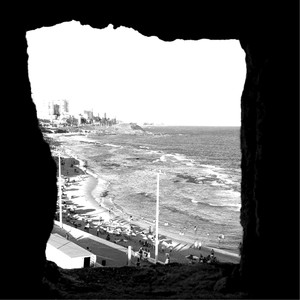 Windows (Live Performance)