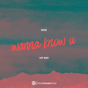 Wanna Know U (VIP Edit)