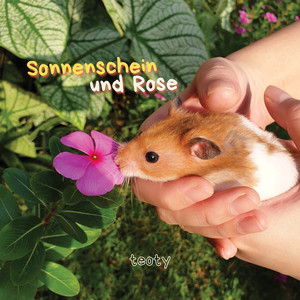 Sonnenschein Und Rose