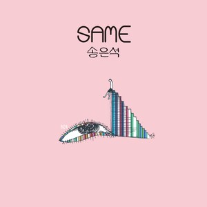 Same (相同)