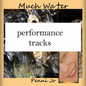 Much Water (Performance Tracks)