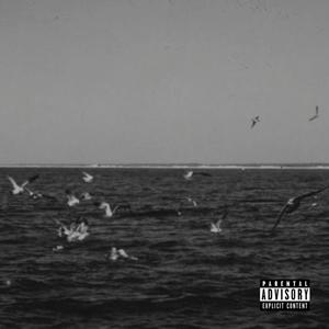 22824 (Explicit)