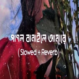 পাগল বানাইলে আমারে (Slowed + Reverb)