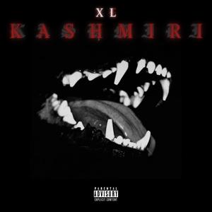 KAMASUTRA V.2 (feat. G en el Beat & Dimelo Austin) (Explicit)