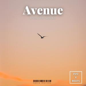 Avenue