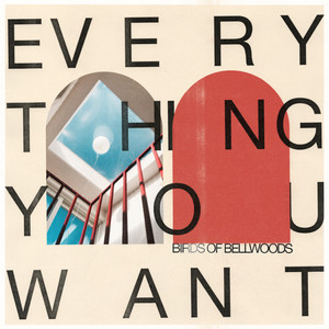 Everything You Want (Explicit)