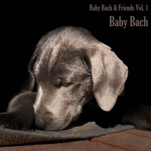 Baby Bach & Friends, Vol. 1