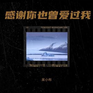 呆小布 - 感谢你也曾爱过我
