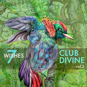 Seven Wishes, Vol. 3