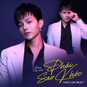 Sao Phải Khóc (Beat) (HMC Lofi Mix)