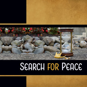 Search for Peace