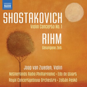 Violin Concerto No. 1 in A Minor, Op. 77 - I. Nocturne: Adagio