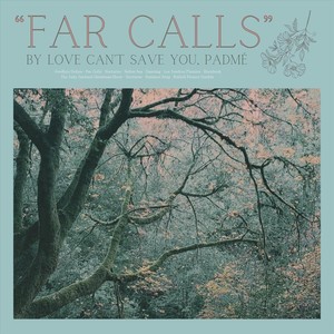 Far Calls