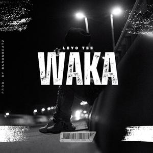 Waka