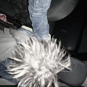 True Heart Searching (feat. LK Shmoov & GLOLUM)