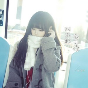 对不起，我爱你