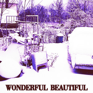 Wonderful Beautiful (Explicit)