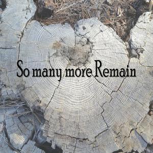 So many more Remain (feat. Walter Pittman, Hector Ramirez & Cash Palumbo)