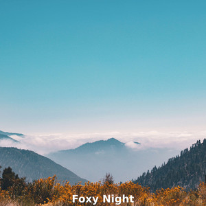 Foxy Night