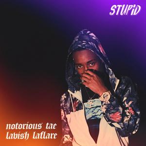 Stupid (feat. Lavish Laflare) [Explicit]