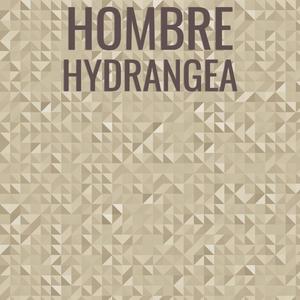 Hombre Hydrangea