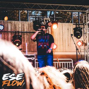 Ese Flow (Explicit)