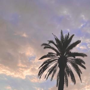 Bermuda 2.0 (Explicit)