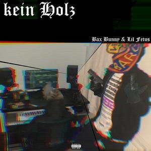 Kein Holz (feat. Lil Fetus) [Explicit]