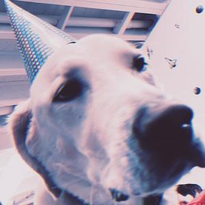 INSOMNIA INTERLUDE (Explicit)