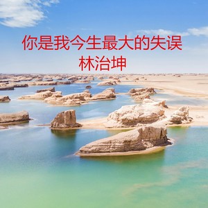你是我今生最大的失误