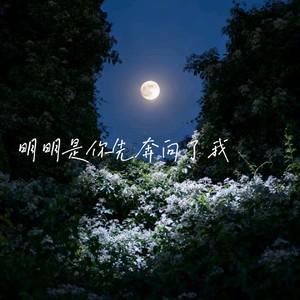 明明是你先奔向了我