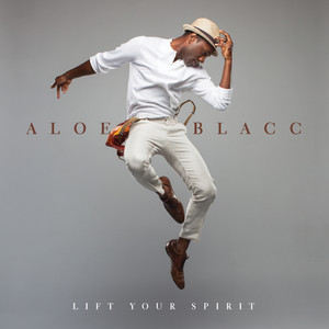 Aloe Blacc - Love Is The Answer