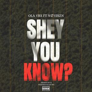 Shey you know (feat. NØYISZN)