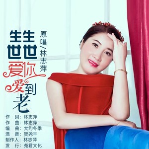 生生世世爱你爱到老封面