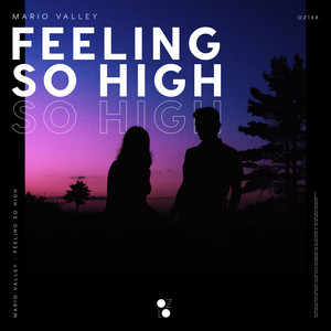 Feeling So High (Extended Mix)