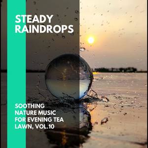 Steady Raindrops - Soothing Nature Music for Evening Tea Lawn, Vol.10