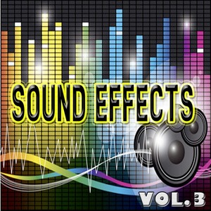 EFX - Sound Effects, Vol. 3 (Footsteps, Sneeze, Laugh, Birds, Screams and More)