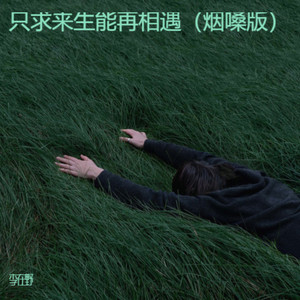 只求来生能再相遇 (烟嗓版)