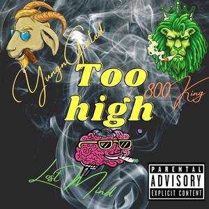 Too High (feat. Lost Mind & 800 King) [Explicit]