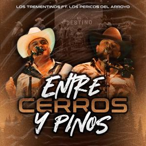 ENTRE CERROS Y PINOS (feat. LOS PERICOS DEL ARROYO)