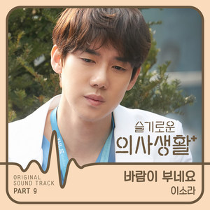 슬기로운 의사생활 OST Part 9